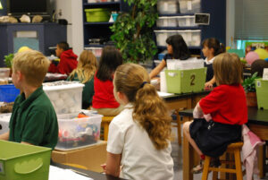 Herramientas educativas más populares en 2024: descubre cómo potenciar el aprendizaje 17 1314 classroom 488375 1280