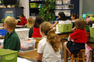 1314 classroom 488375 1280