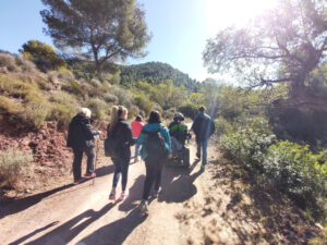 2031 foto ruta al castell