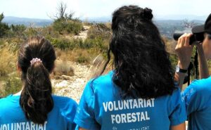 2119 canals voluntariat forestal