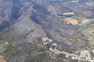 230 montitxelvo incendi forestal 10