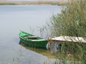 Las barcas tradicionales de l'Albufera de València, El Hondo de Elche y Las Salinas de Torrevieja recibirán ayudas para su electrificación 23 2326 elche hondo barca