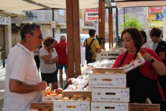 2404 feriatomate