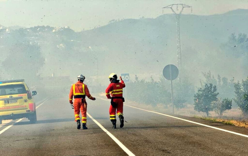 2522 montitxelvo incendi forestal 06
