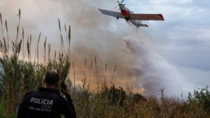 2564 riba roja incendio avioneta