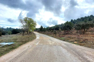 256 sinarcas