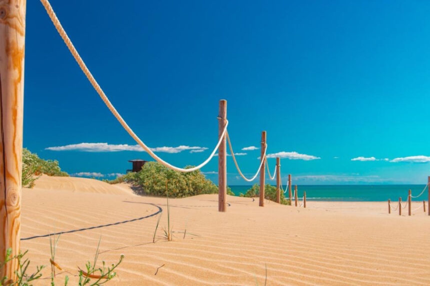 2611 cullera platja escollera