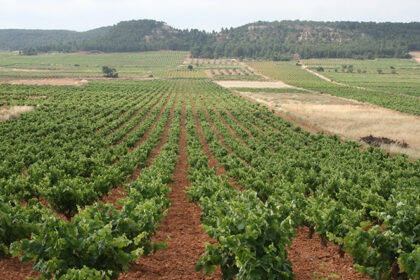 2880 ava uva requena