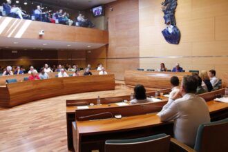 2990 pleno de la diputacio de valencia