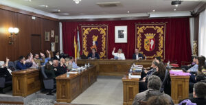 2999 vinaros ple municipal