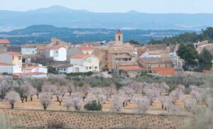 3111 venta del moro