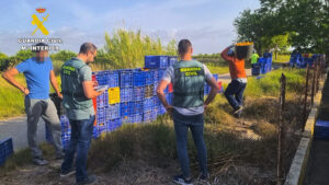 3236 citricos2