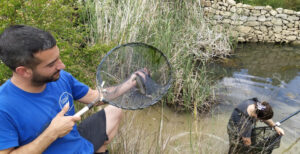 3290 anfibios introduccion