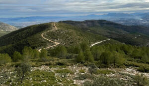 352 serra grossa tallafocs