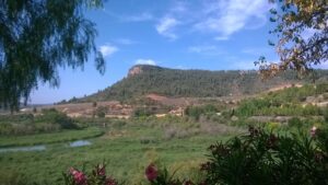 Multa de 6.000 euros a un joven agricultor por cambiar su residencia de Jalance al pueblo vecino de Cofrentes 1 3543 paisaje cofrentes