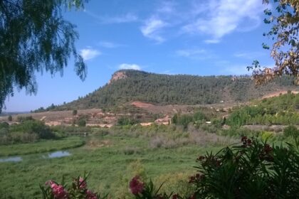 3543 paisaje cofrentes