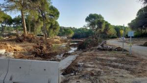 4045 241212 med foto2