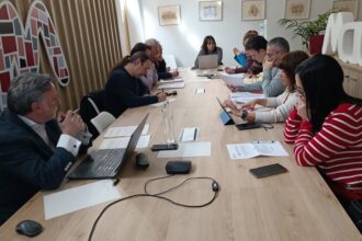 4082 herramienta comparativa empresas mancomunitat horta sud