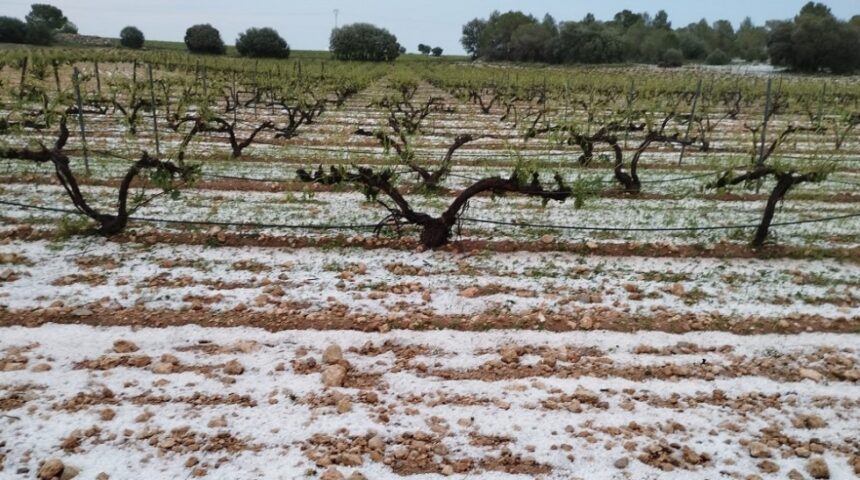 4174 pedrisco ayer