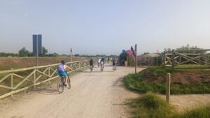 4516 bici natura bim