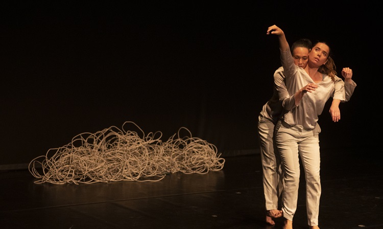 499 dansa valencia realiza una convocatoria publica para un showcase