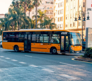 50 241121 med foto lineasilla