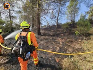 5304 bomberos incendio forestal
