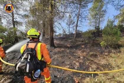 5304 bomberos incendio forestal