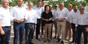 Empieza la nueva campaña para la uva de mesa embolsada del Vinalopó 33 5381 uva embolsada inicio temporada 2024