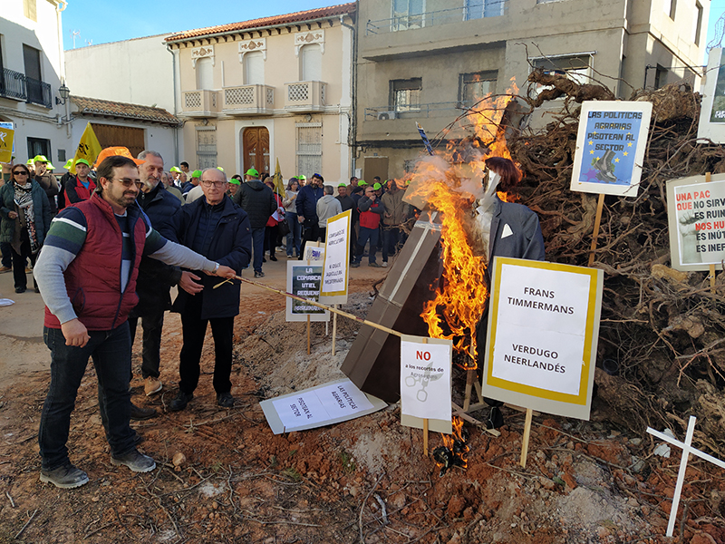 553 ava protesta 260124