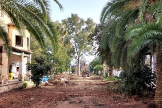 556 sagunt jardins gerencia obres