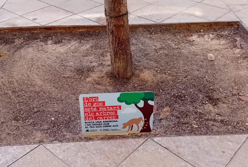 5733 ontinyent orins gossos arbres