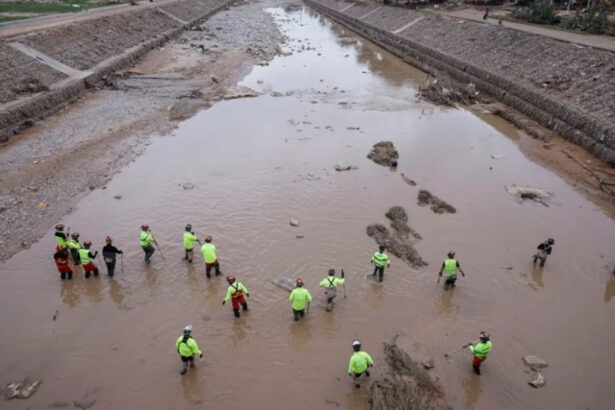 596 dana busqueda victimas