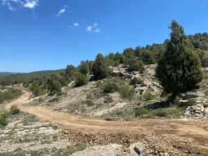 El camino a Vallivana estará listo para la Rogativa del 55 Sexenni de Morella 30 5978 2024 08 01 reparacions cami de vallivana 3