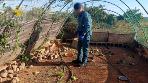 6195 picassent tortuga mora guardia civil