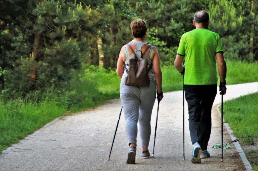 6238 walk gcfc85b201 1280