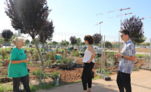 Quart de Poblet diseña un jardín experimental y sensitivo con más de 50 especies 40 632 quart poblet jardin experimental sensitivo
