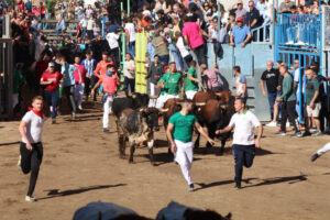 6346 ajuntament onda encierro 2 a punt