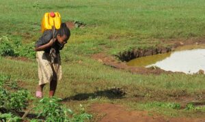La ONG Manos unidas denuncia que 2.000 millones de seres humanos siguen sin agua potable 37 6766 manos unidas denuncia que 2000 millones de seres humanos siguen sin agua potable