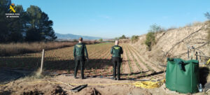 6854 pobla duc plantacio marihuana