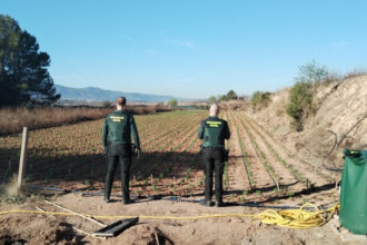 6854 pobla duc plantacio marihuana