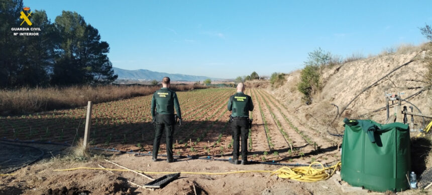 6854 pobla duc plantacio marihuana
