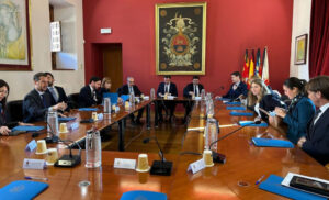 6883 alciante elche reunion alcaldes gobiernos