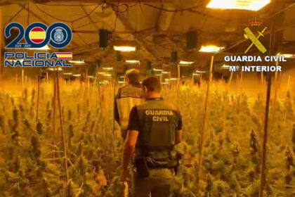 6917 llosa ranes marihuana