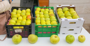 7040 feria manzana1