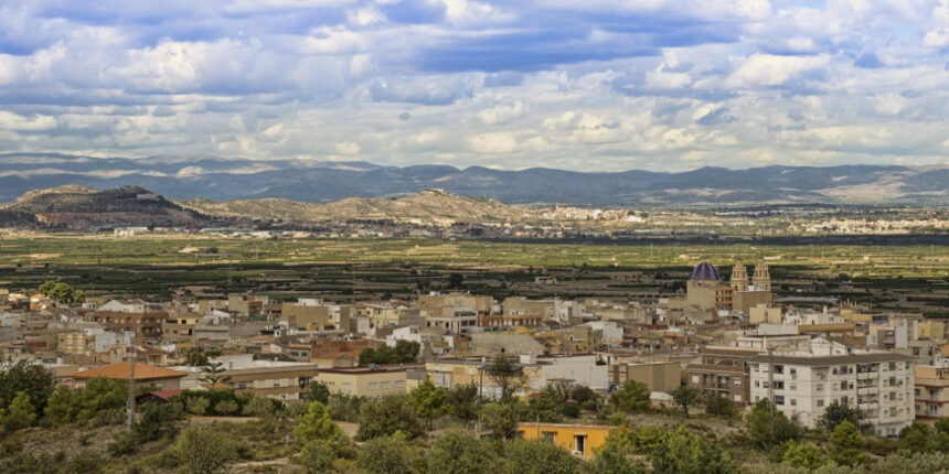 7061 riba roja