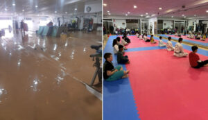 7251 cd taekwondo sena antes despues