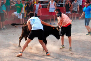 7379 vaquillas