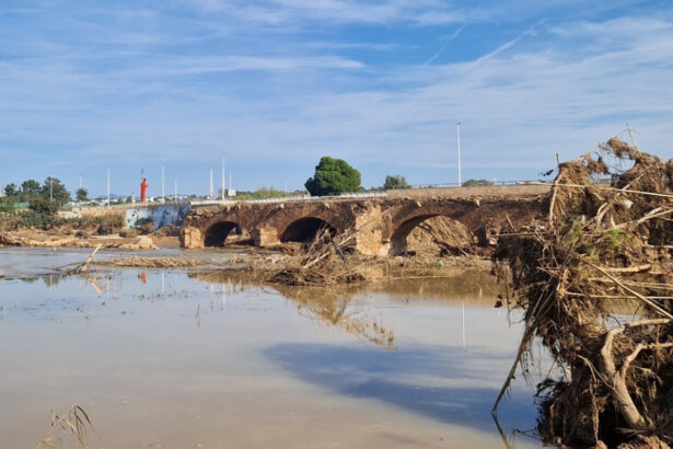 7669 riba roja pont vell dana