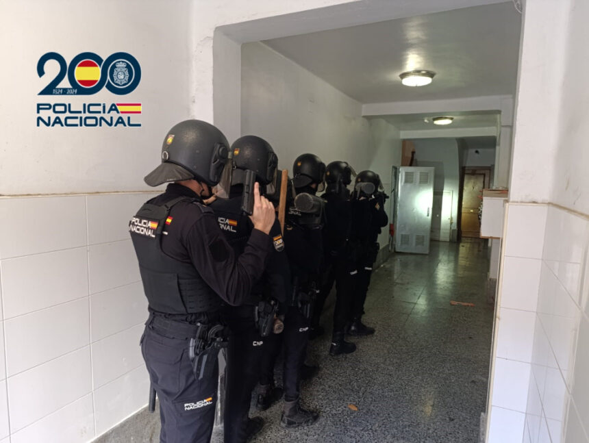 7853 drogas gandia